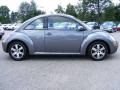 Platinum Grey - New Beetle 2.5 Coupe Photo No. 6