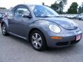 Platinum Grey - New Beetle 2.5 Coupe Photo No. 7