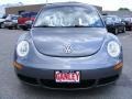 Platinum Grey - New Beetle 2.5 Coupe Photo No. 8