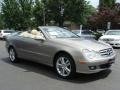 2007 Pewter Metallic Mercedes-Benz CLK 350 Cabriolet  photo #4