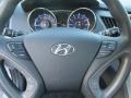Iridescent Silver Blue Pearl - Sonata GLS Photo No. 11