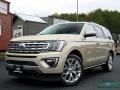 White Gold 2018 Ford Expedition Limited 4x4
