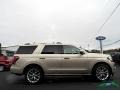 2018 White Gold Ford Expedition Limited 4x4  photo #6