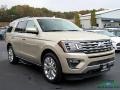 2018 White Gold Ford Expedition Limited 4x4  photo #7