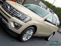 2018 White Gold Ford Expedition Limited 4x4  photo #38