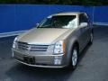 Cashmere Metallic - SRX V6 Photo No. 8