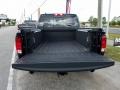 Black Forest Green Pearl - 1500 Big Horn Crew Cab Photo No. 19