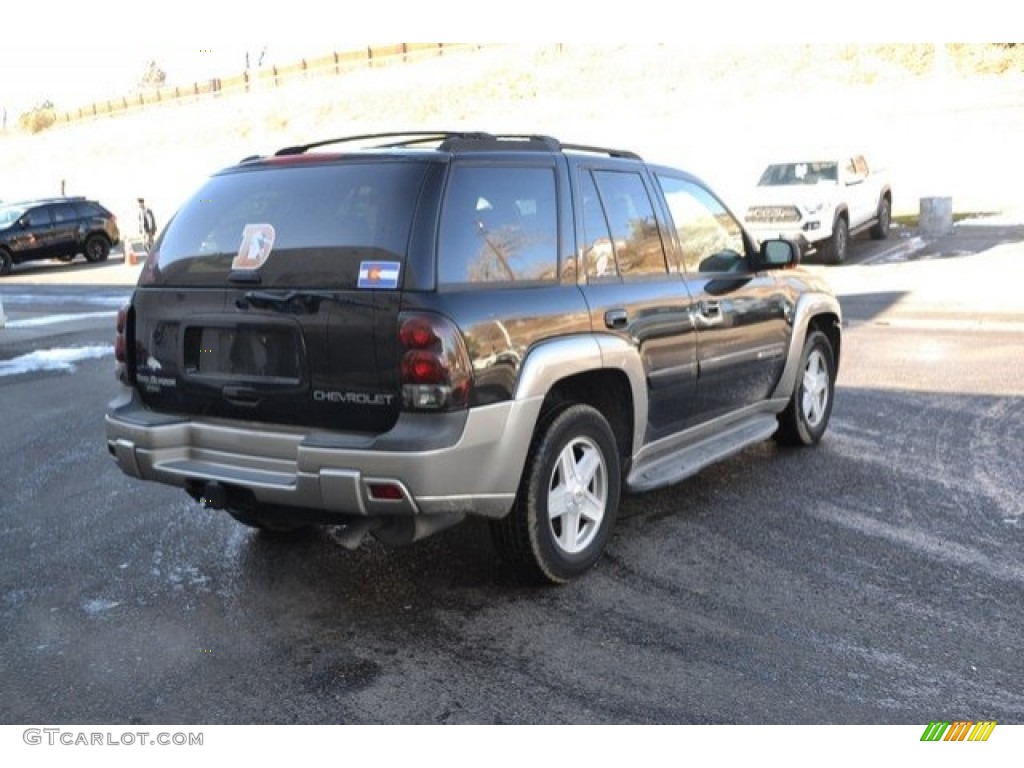 2002 TrailBlazer LTZ 4x4 - Onyx Black / Dark Pewter photo #6