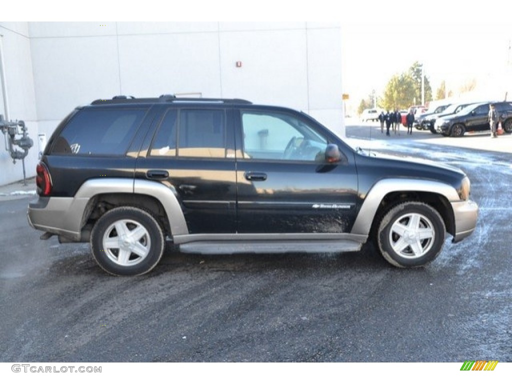 2002 TrailBlazer LTZ 4x4 - Onyx Black / Dark Pewter photo #7