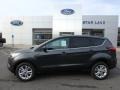 2019 Magnetic Ford Escape SE 4WD  photo #1