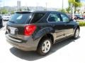 2010 Cyber Gray Metallic Chevrolet Equinox LS  photo #4