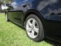 Black - Passat 2.5L SE Photo No. 17
