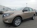 2019 Sandy Ridge Metallic Chevrolet Equinox LS  photo #1