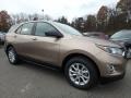 2019 Sandy Ridge Metallic Chevrolet Equinox LS  photo #3