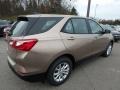 2019 Sandy Ridge Metallic Chevrolet Equinox LS  photo #5