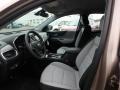 2019 Sandy Ridge Metallic Chevrolet Equinox LS  photo #11