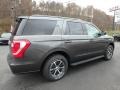Magnetic Metallic 2019 Ford Expedition XLT 4x4 Exterior