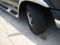 Dark Spruce Green Metallic - Ram Van 1500 Passenger Conversion Photo No. 21