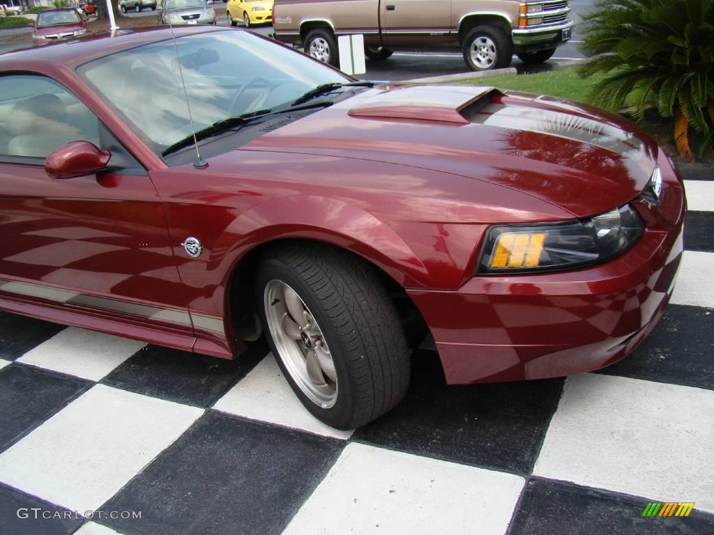 2004 Mustang GT Coupe - 40th Anniversary Crimson Red Metallic / Medium Parchment photo #19