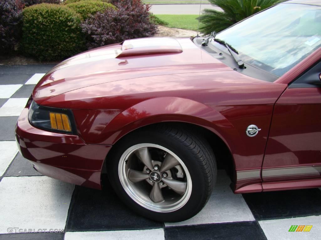 2004 Mustang GT Coupe - 40th Anniversary Crimson Red Metallic / Medium Parchment photo #20