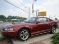2004 40th Anniversary Crimson Red Metallic Ford Mustang GT Coupe  photo #25