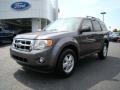2009 Sterling Grey Metallic Ford Escape XLT  photo #6