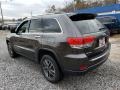 2019 Granite Crystal Metallic Jeep Grand Cherokee Limited 4x4  photo #4