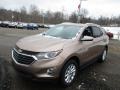 2019 Sandy Ridge Metallic Chevrolet Equinox LT AWD  photo #4