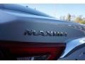 Brilliant Silver - Maxima SL Photo No. 19