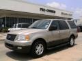 Pueblo Gold Metallic - Expedition XLT Photo No. 1