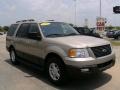 Pueblo Gold Metallic - Expedition XLT Photo No. 3