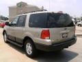Pueblo Gold Metallic - Expedition XLT Photo No. 7