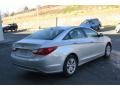 Radiant Silver - Sonata GLS Photo No. 6