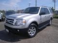 2007 Silver Birch Metallic Ford Expedition XLT 4x4  photo #1