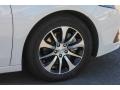Bellanova White Pearl - TLX 2.4 Photo No. 11