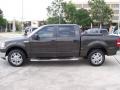 Dark Stone Metallic - F150 Texas Edition SuperCrew Photo No. 2