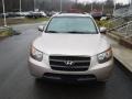 Golden Beige - Santa Fe GLS 4WD Photo No. 4