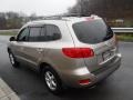 Golden Beige - Santa Fe GLS 4WD Photo No. 7