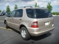 2001 Desert Silver Metallic Mercedes-Benz ML 320 4Matic  photo #3