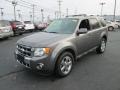 Sterling Gray Metallic - Escape Limited V6 4WD Photo No. 2