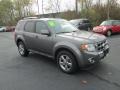 Sterling Gray Metallic - Escape Limited V6 4WD Photo No. 4