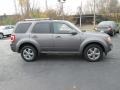 Sterling Gray Metallic - Escape Limited V6 4WD Photo No. 5