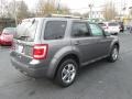 Sterling Gray Metallic - Escape Limited V6 4WD Photo No. 6
