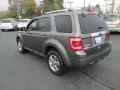 Sterling Gray Metallic - Escape Limited V6 4WD Photo No. 8