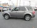 Sterling Gray Metallic - Escape Limited V6 4WD Photo No. 9