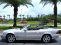 Silver Arrow Ultra Metallic - SL 500 Silver Arrow Roadster Photo No. 13