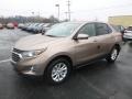 2019 Sandy Ridge Metallic Chevrolet Equinox LT AWD  photo #1