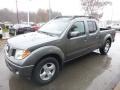 Storm Gray - Frontier LE Crew Cab 4x4 Photo No. 5