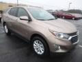 2019 Sandy Ridge Metallic Chevrolet Equinox LT AWD  photo #7