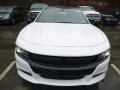White Knuckle - Charger SXT AWD Photo No. 8